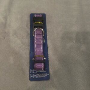 Brand New Joy Tale Dog collar